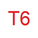 T6