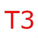 T3