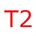 T2