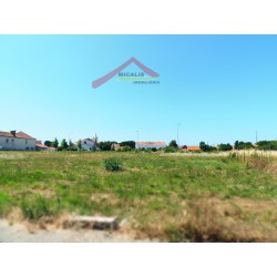Terreno nas Quintãs (Aveiro) [MTV3123]