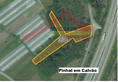 Pinhal 